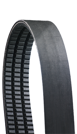 BX54/09 Cogged Banded V-Belt