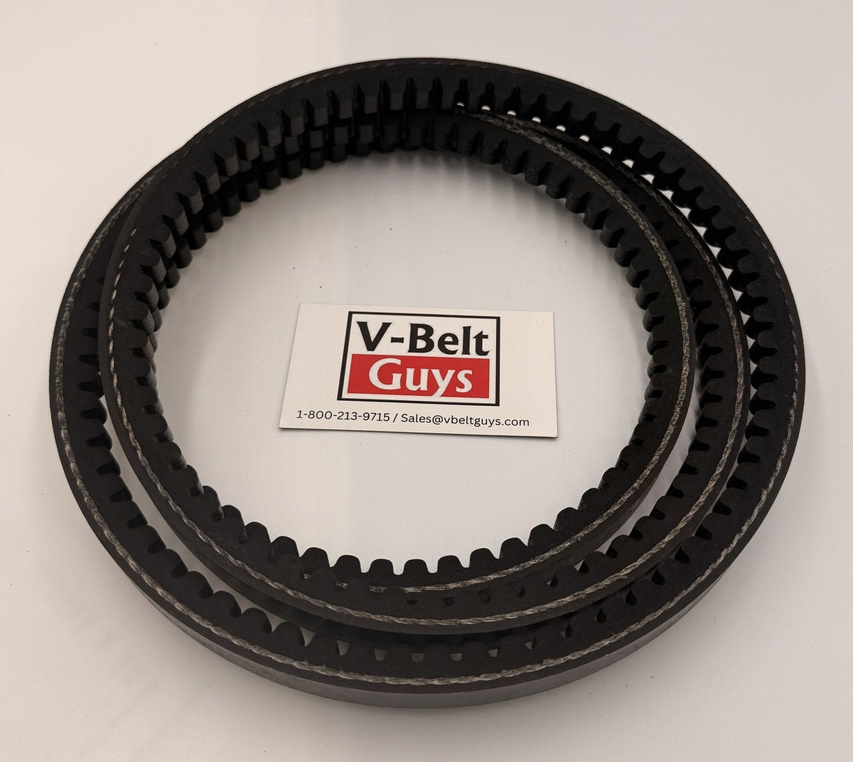 5VX cogged wedge V-belt coiled with V-Belt Guys card for scale