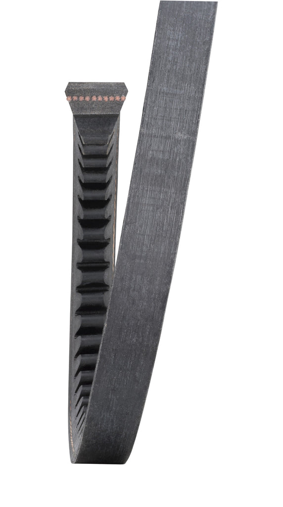 2614b137_oem_manufacturer_cogged_replacement_v_belt