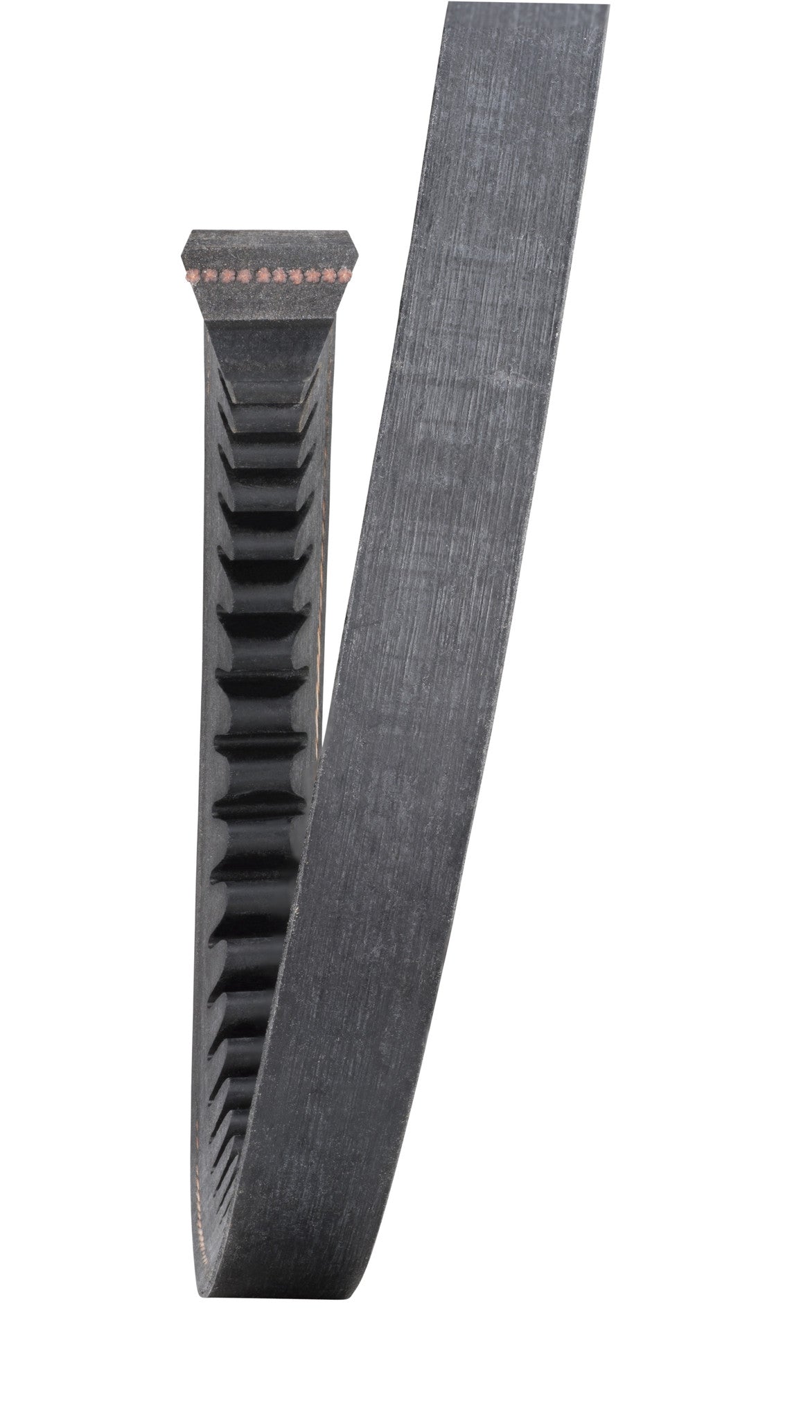 F244K223 CONTINENTAL MOTORS Cogged Replacement V-Belt