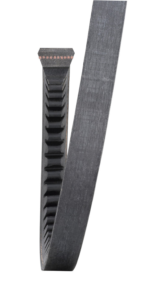 9933251135 TOYOTA MOTOR Cogged Replacement V-Belt