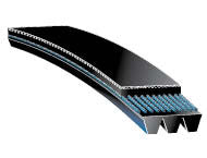 295J7 Micro Rib Poly V Belt