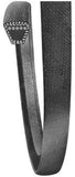 16074_ccil_classic_replacement_v_belt