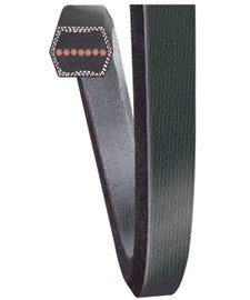CC195 Double Angled Hex Belt